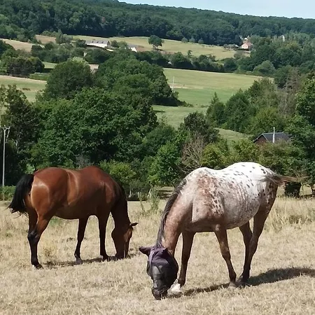 Maisonnette En Campagne 