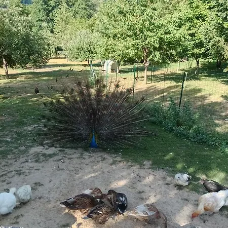 Maisonnette En Campagne 