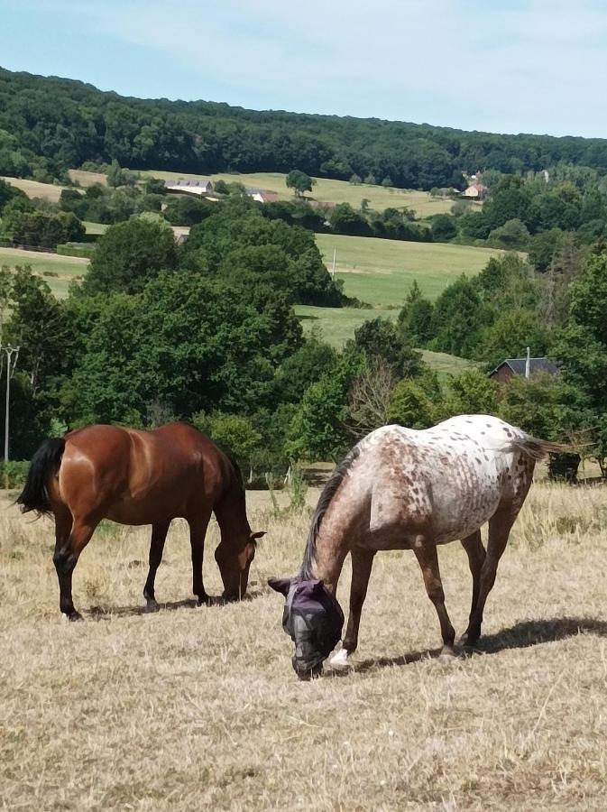 Maisonnette En Campagne 