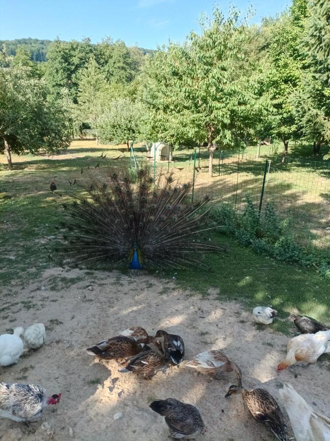 Maisonnette En Campagne 