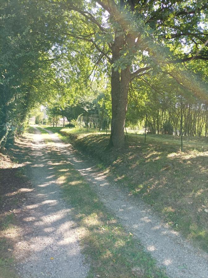 Maisonnette En Campagne 