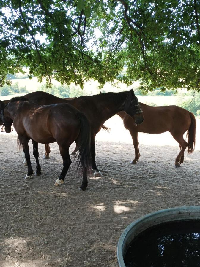 Maisonnette En Campagne 