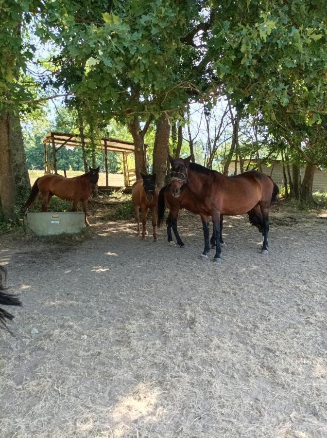 Maisonnette En Campagne 